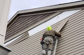 Professional Siding Installation & Repair in Cutlerville, MI